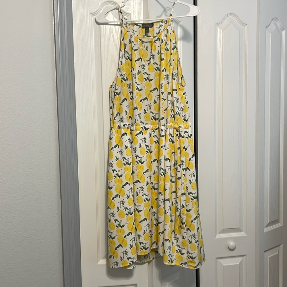 Market & Spruce Lemon Dress 2x